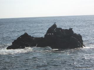 uccio-13-11-2012 09-30-04